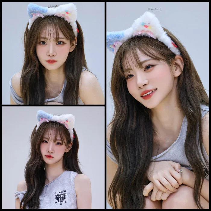 Cover for Disposition