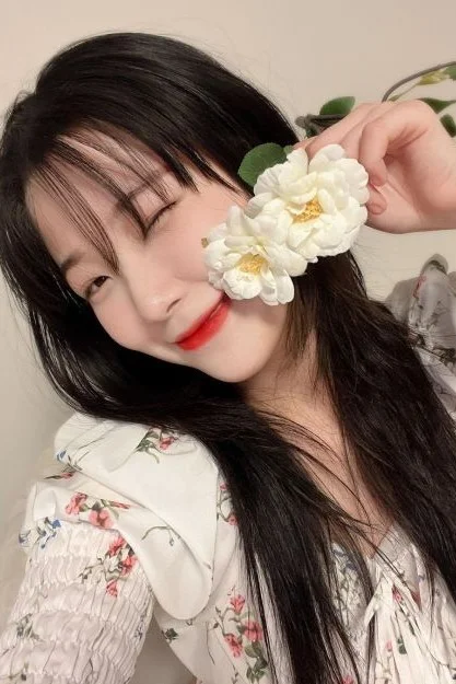 Cover for Last minute birthday