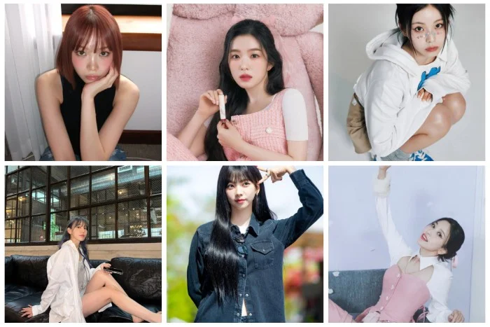 Cover for The shelter