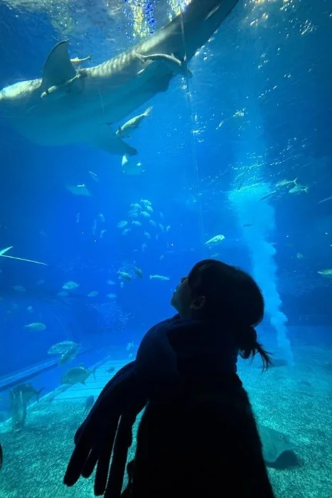 Cover for Marine Tales