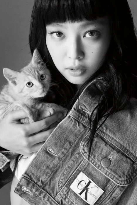 Cover for La petite chatte.