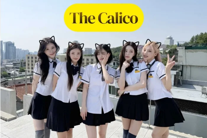 Cover for The Calico