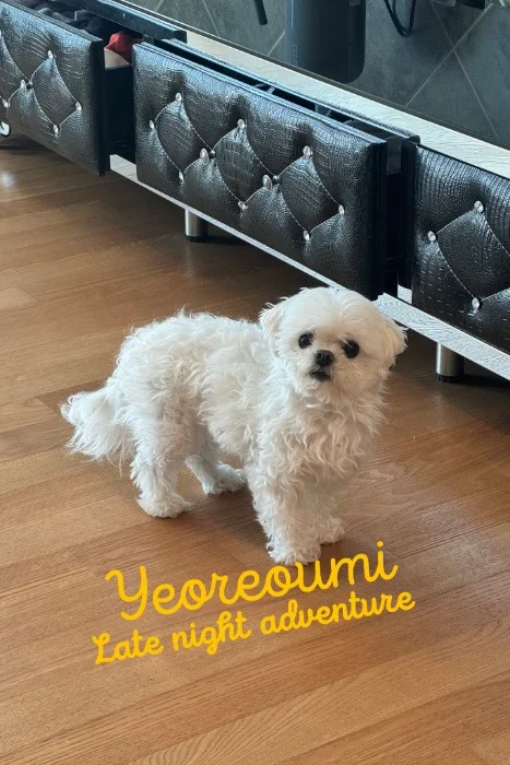 Cover for Yeoreoumi Late Night Adventure 